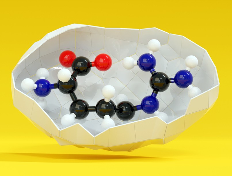 covid-19. l-arginin, arginin, aminosav, koronavírus, gyógyulás