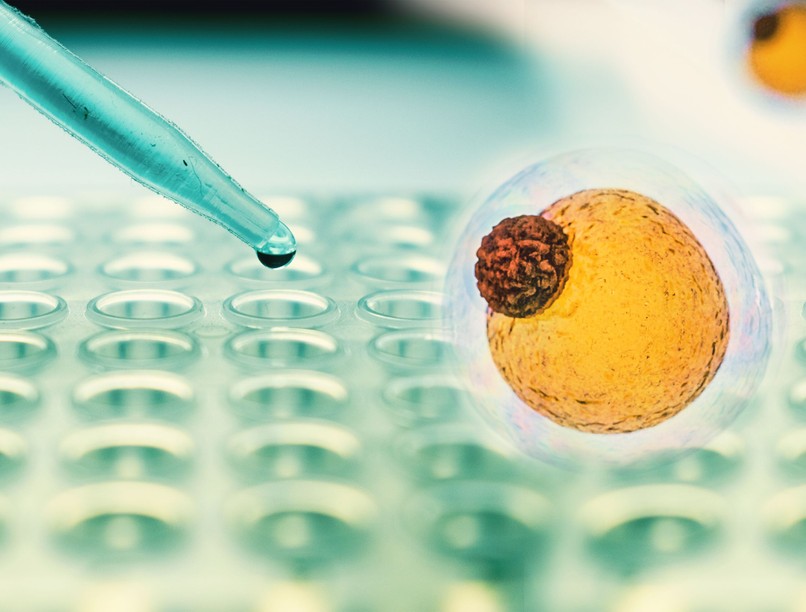 elhízás mitől függ hogyan lassítható