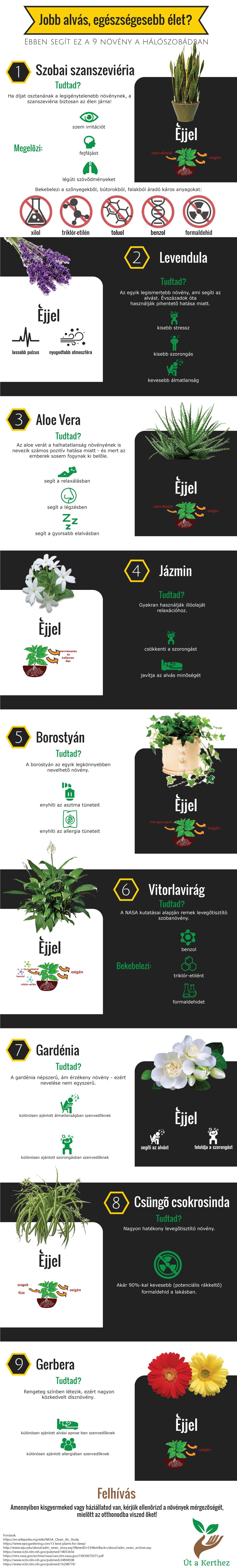 Infografika