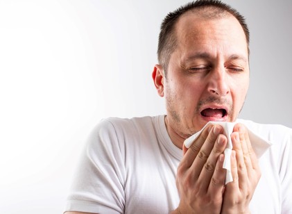 Egy gyógynövény, amelyhez sokan fordulnak a náthás napokon – de jóval többet tud ennél című cikk nyitóképe