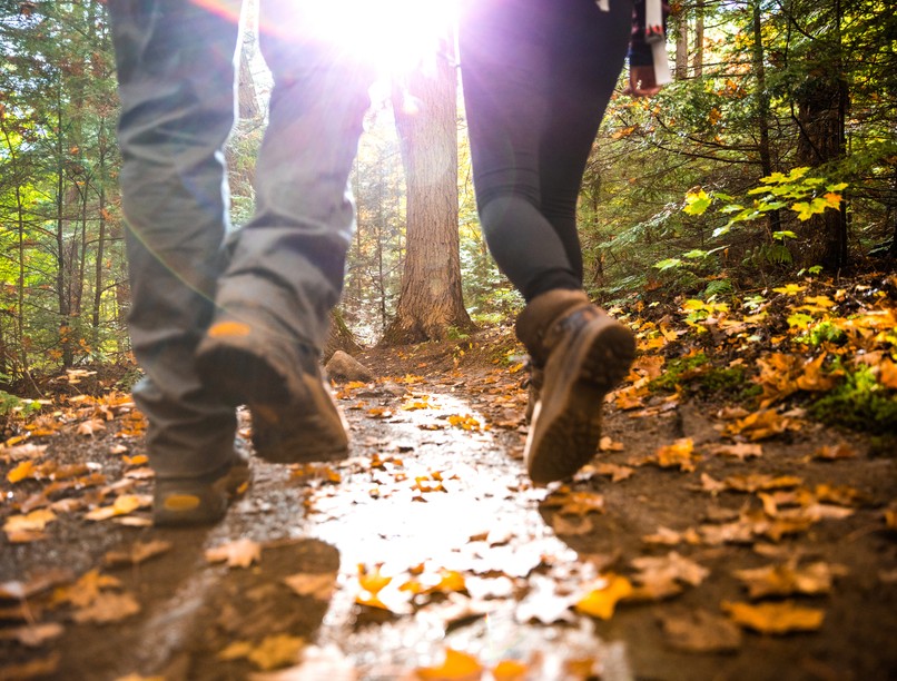 gyors gyaloglás, mozgás, sport, öregedés