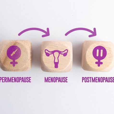 A petefészkek második élete: érdekes karrierváltáson esnek át a menopauza után című cikk nyitóképe