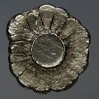 Speciális allergiák nyomában