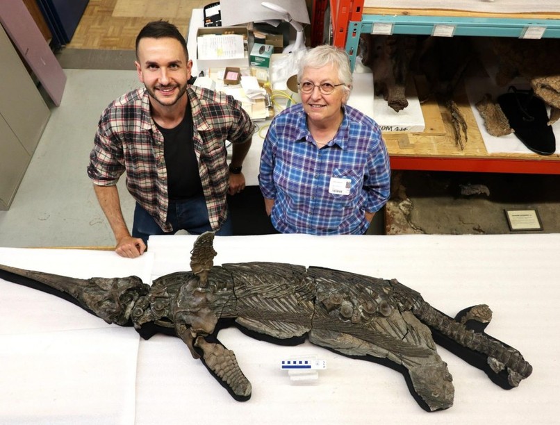 tengeri-oshullo-csontvaz-ichthyosaurus