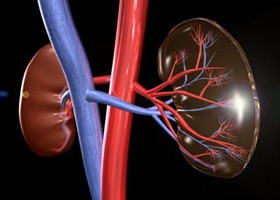 A jeges tea is okozhat vesekövet!