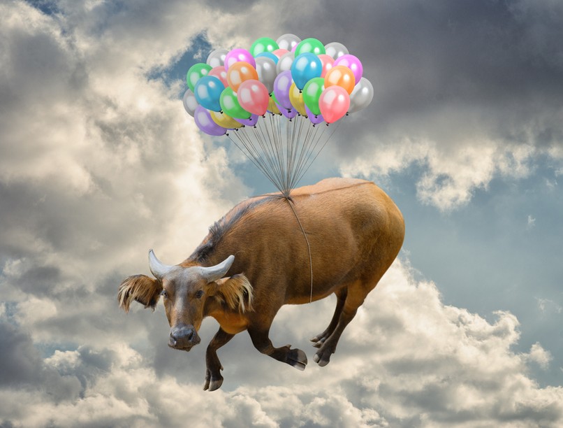 baleset, marha, vonatbaleset, abszurd, sürgősségi ellátás