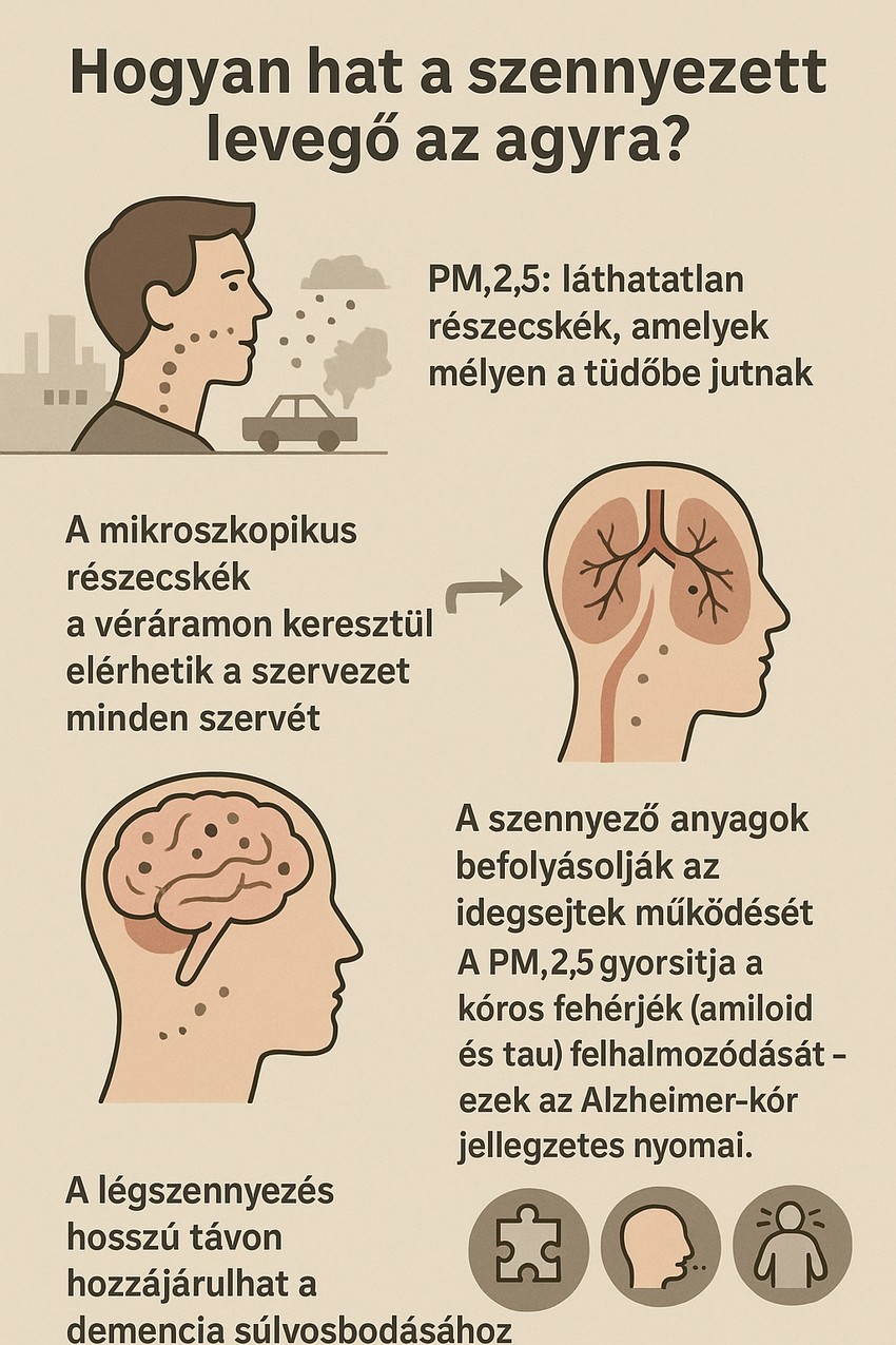 légszennyezettség és az Alzheimer-kór