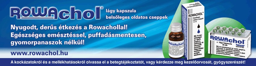 A karácsonyi időszak kifejezetten nehéz az epe betegeknek – 5 tipp, ami sokat segíthet