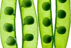 Cukorborsót vegyenek!