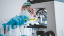 Egy gyakori vitamin segíti a rákos sejtek védekezését – a kutatók ezt most ellene fordítanák című cikk nyitóképe