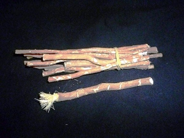 Miswak