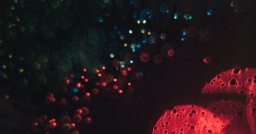  Ez a rák a legrosszabb - csendben pusztít, tünetek nélkül! A diagnózis utáni 5 évet a betegek 11 százaléka éli túl 