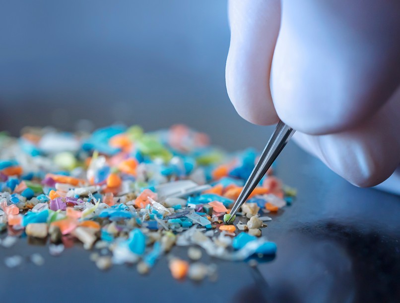 agy mikroműanyag hatás személyiség