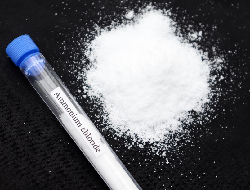 orvostudományi kutatások ízérzékelés ízek alapíz