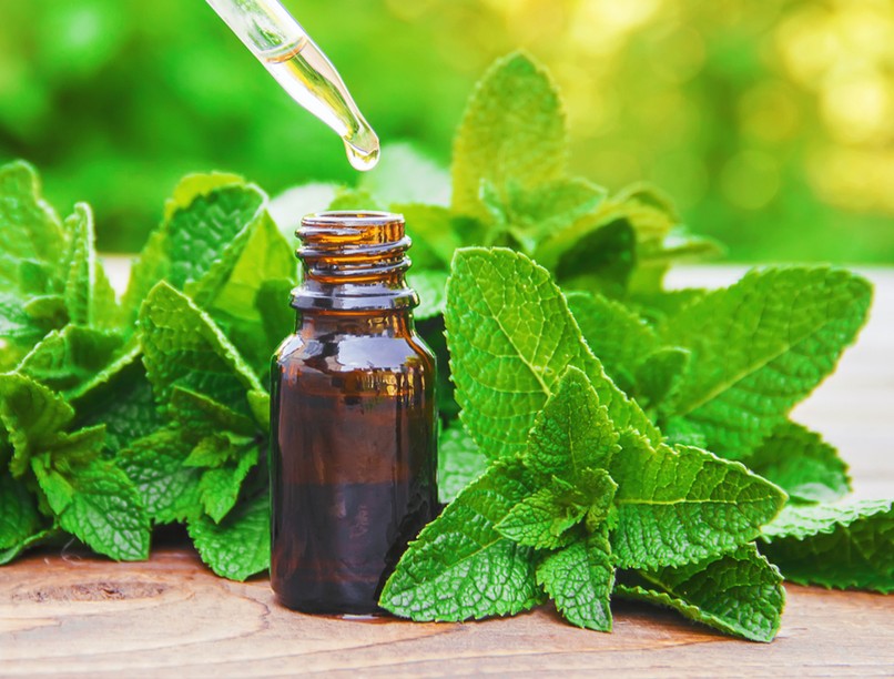 borsmenta illóolaj aromaterápia hatása alvászavar szívműtét