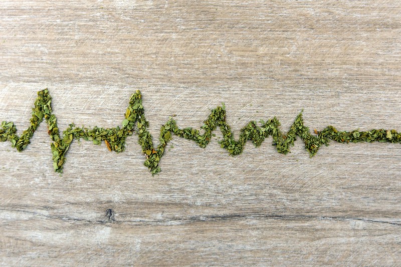 Nem veszélytelen az orvosi kannabisz: ilyen hatása van a szívre