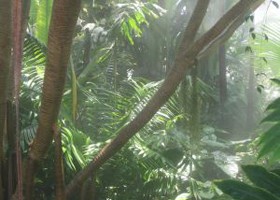 Sárgaláz: tünetei, vizsgálata és kezelési lehetőségei