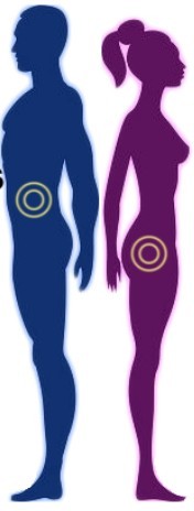 A férfiak és nők súlypontjának átlagos elhelyezkedése