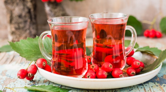 Az idős szív segítője: így készítsen galagonya teát! című cikk nyitóképe