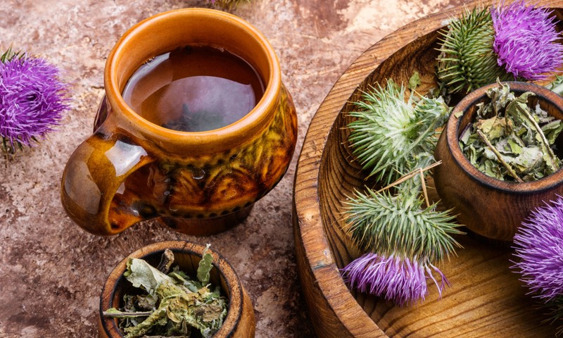 A máj egyik legjobb barátja: így használja ki a máriatövis tisztító és védő hatását