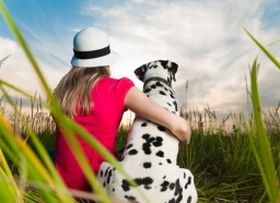 Génterápiával a vérzékenység ellen