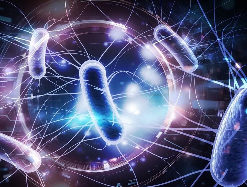 színes kutatás föld baktérium