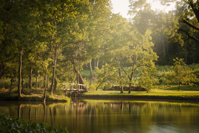 Barátai mentették meg a fiatal férfit, aki életveszélyesen megsérült fürdőzés közben című cikk nyitóképe