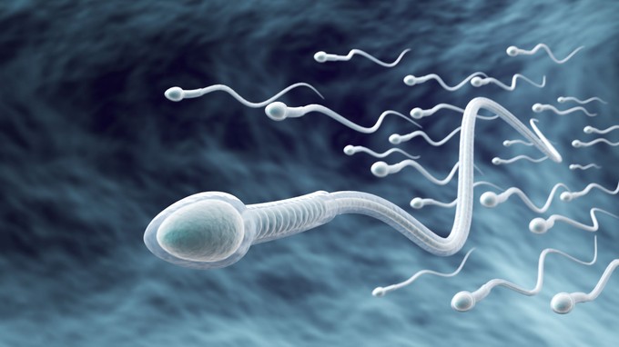 Ebben az életkorban kezdenek „romlani” a férfiak spermái című cikk nyitóképe