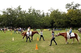 Érdeklődőknek: a Lovasterápia Szövetség továbbképző tanfolyama