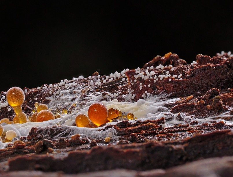 beteg épület szindróma tüneteket rossz beltéri levegő penesz