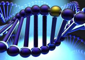 Új lehetőség a bőrbetegségek kezelésére