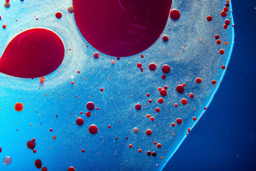 A helyes életmód mellett számos olyan élelmiszer és táplálkozási szokás létezik amely segíthet csökkenteni a rákos megbetegedések kialakulásának kockázatát.