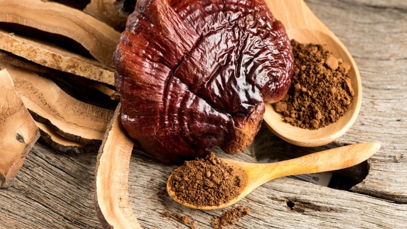 gyógygombák, Ganoderma, Grifola, Cordyceps