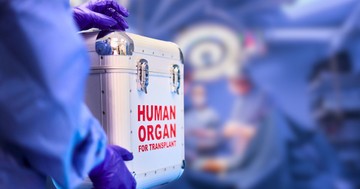  Valóban megkaphatjuk szervátültetés esetén a donor emlékeit? Meglepheti a válasz! 