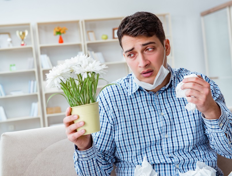 étel, allergia, vigyáz, fűfélék