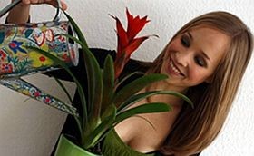 Figyelem: Vegafeszt lesz 25-26-án!