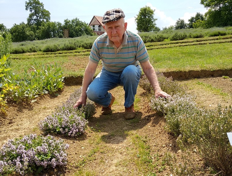 Szabó Gyuri bácsi gyógynövény kakukkfű