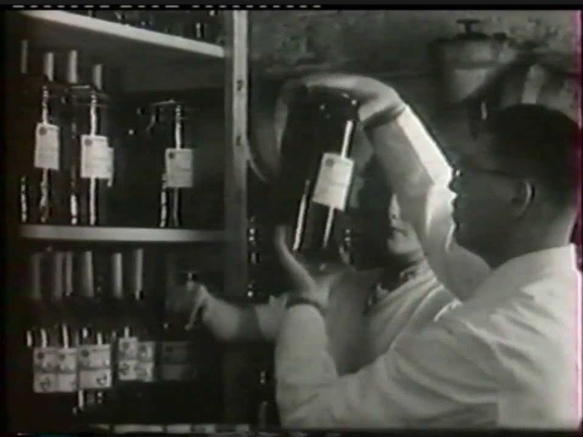 Egy korabeli fotón Jean Boiron épp a homeopátiás gyógyszertárában ellenőrzi az oldatokat