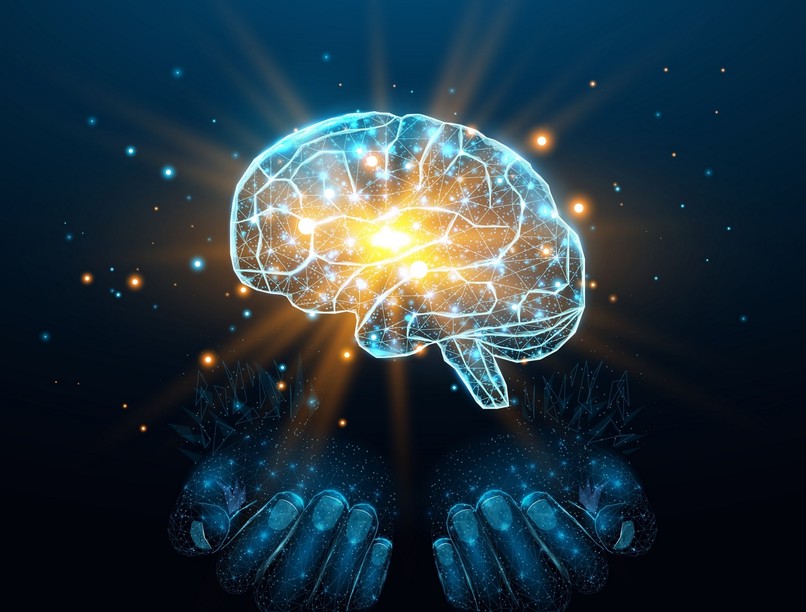 agy, szinapszis, kutatás, magyar