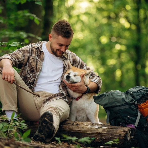 Túrázás kutyával: így készüljön fel rá című cikk nyitóképe