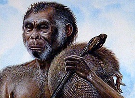 Érdekesség: evolúció - és testünk szőrzete