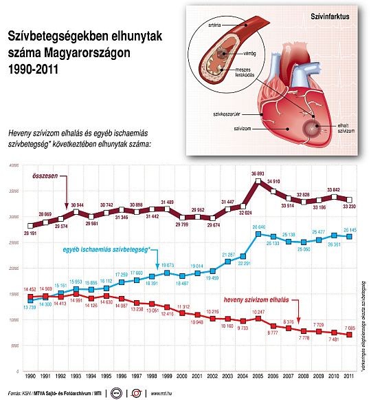 Szívbetegségek és halálozás Magyarországon