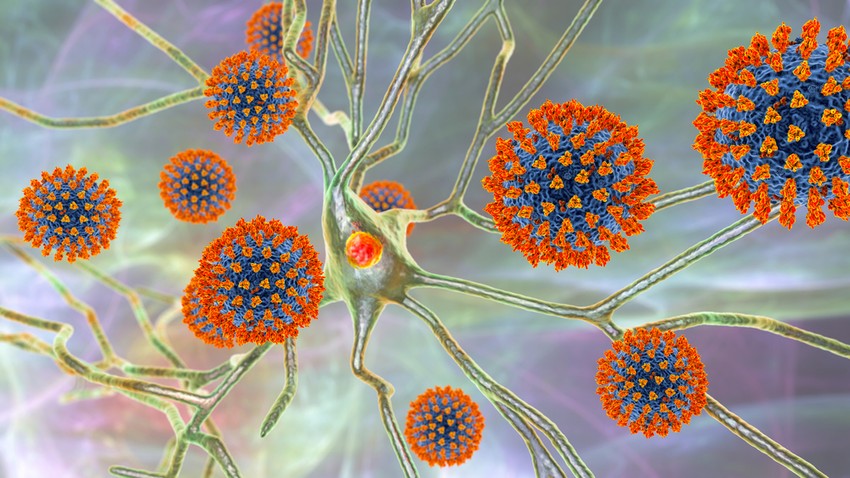 A különböző betegségek esetében a szaglásvesztés kísérő tünetként jelenik meg. A cukorbetegség következtében kialakuló idegkárosodás az orr érzőidegeire is kihatással lehet.