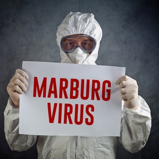 Marburg-vírus: már gyermek is van az áldozatok között című cikk nyitóképe