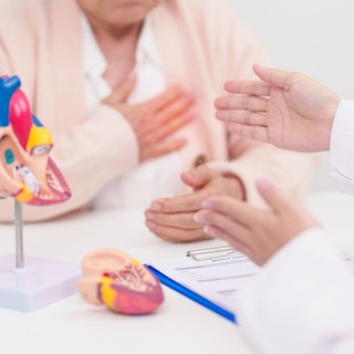 Visszafordítható-e az érelmeszesedés? Ma már máshogy vélekedik róla a tudomány, mint régen! című cikk nyitóképe