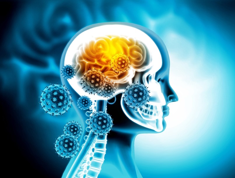 koronavírus, covid, agy, terjedés