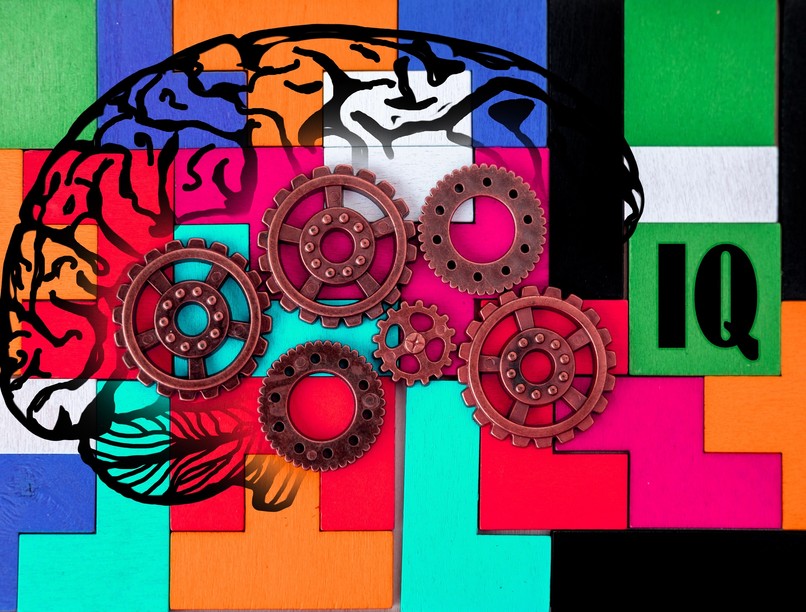 IQ-teszt intelligencia felmérés