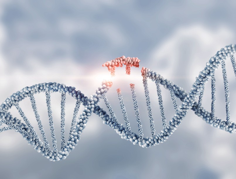 génterápia kezelés leírás