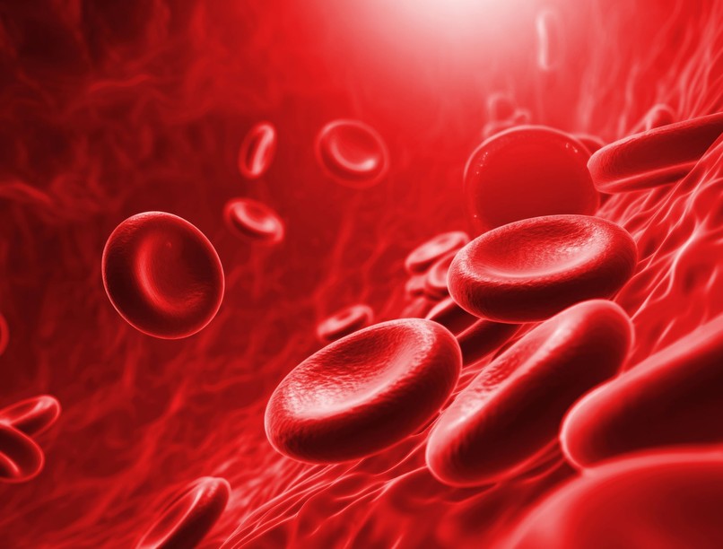 Németh Norbert Mátrai Árpád Emlékérem díj Debreceni Egyetem