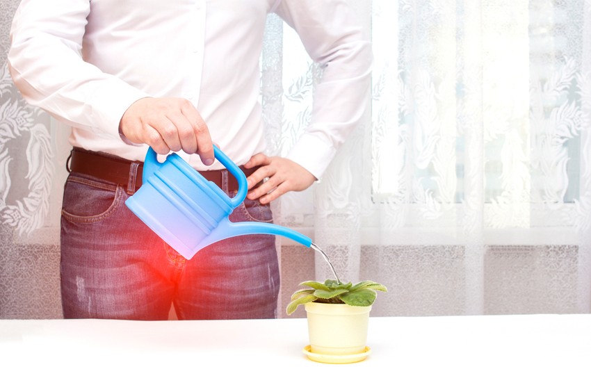 Az akadozó vizeletnek számos oka lehet, amiknek az egészségünk érdekében érdemes utána járnunk.